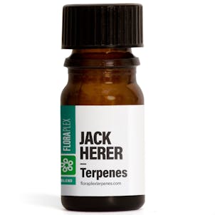 Photo of Jack Herer Terpenes